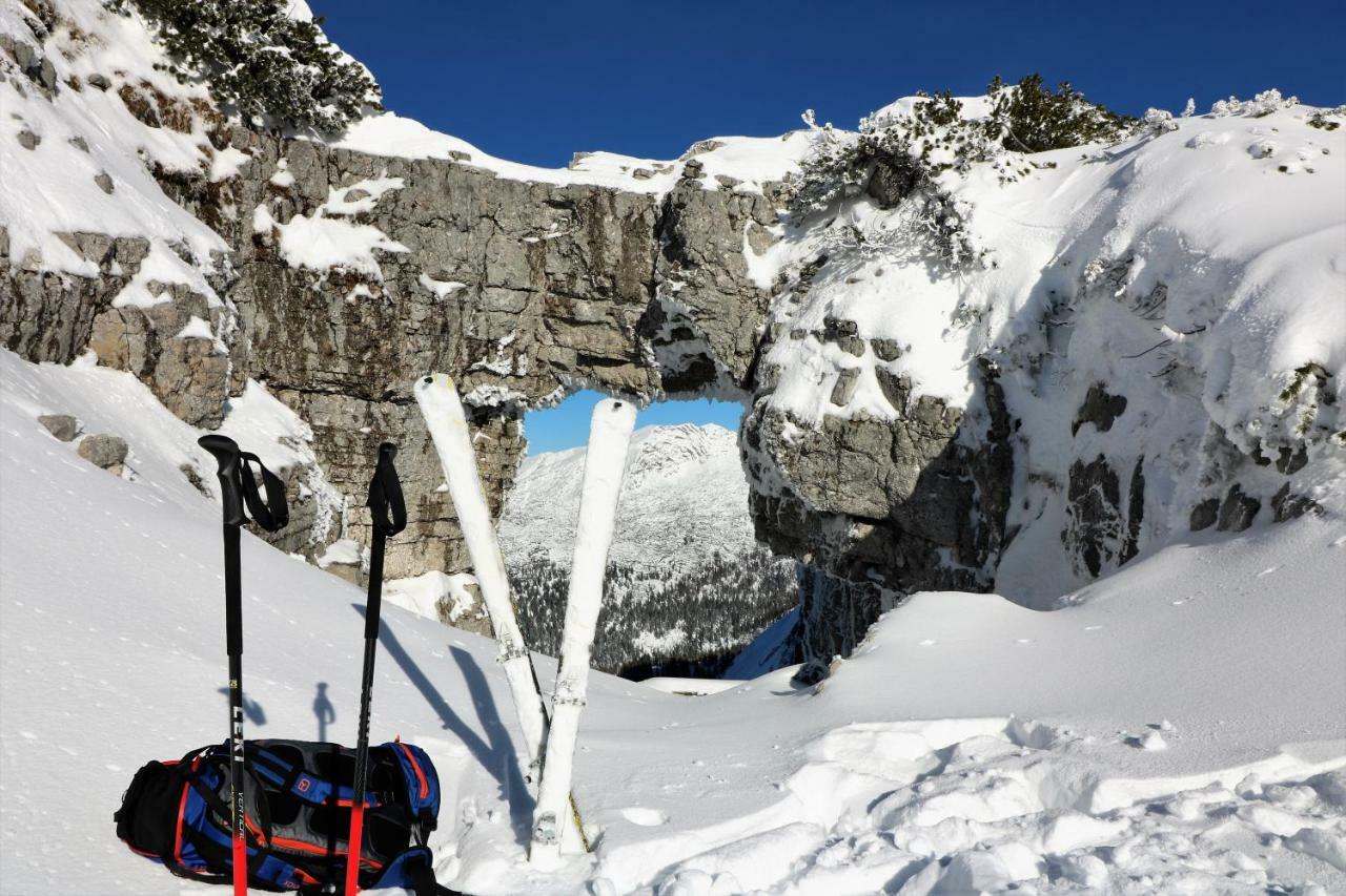 Ferienwohnungen Arikogel באד גויסרן מראה חיצוני תמונה