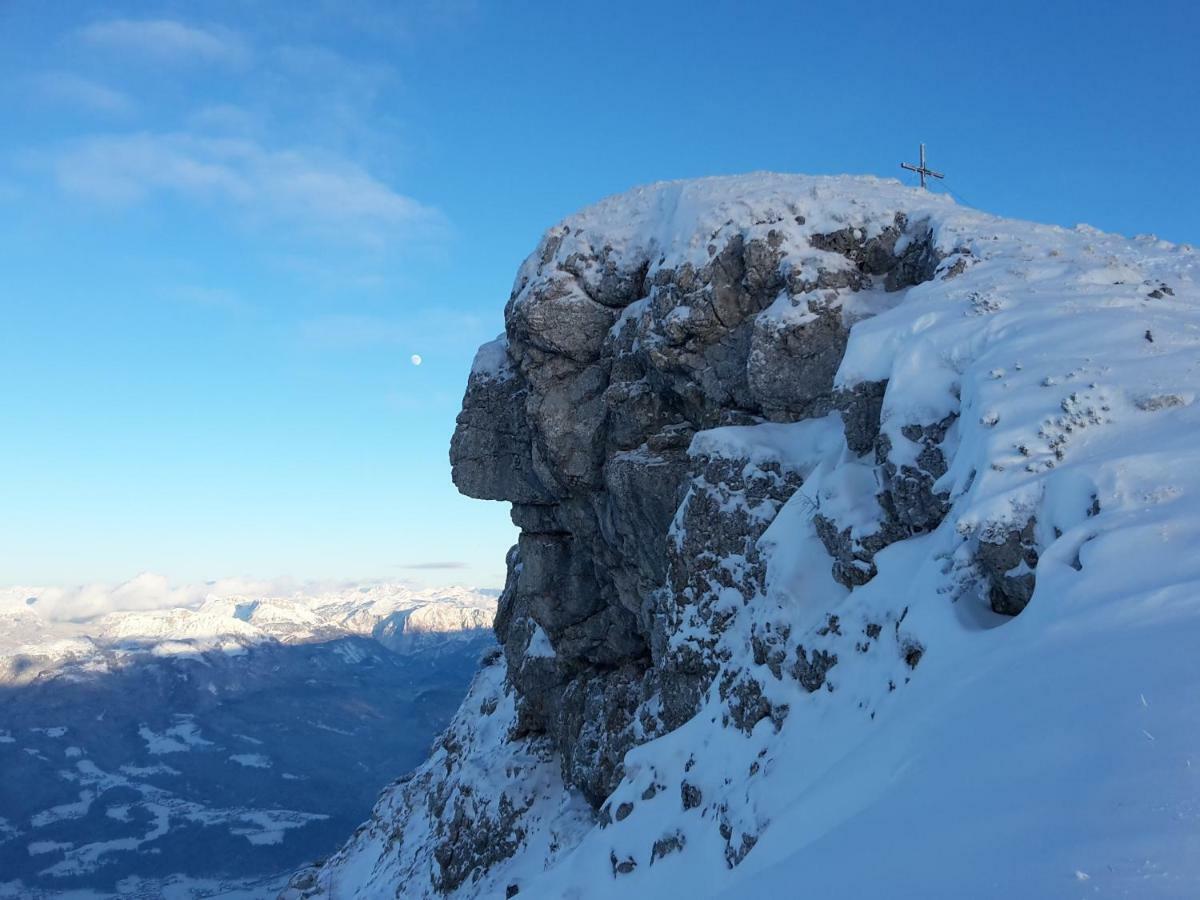 Ferienwohnungen Arikogel באד גויסרן מראה חיצוני תמונה